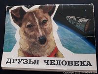Close-up of one postcard showing a dog with a red collar and Russian text on the front cover.