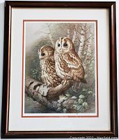 Framed collotype print showing two tawny owls on a branch with birch trees in the background.