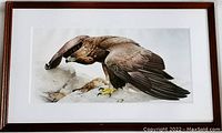 Framed print featuring a golden eagle standing on rocks, slightly angled view.