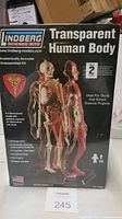Box front displaying Lindberg Science Kits Transparent Human Body model showing skeleton and translucent anatomy detail.