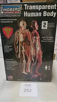 Front view of box showing Lindberg Science Kits Transparent Human Body model kit with images of the human body and skeleton model.