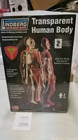 Box front showing brand, product name, and image of transparent human body model with skeleton and internal organs.