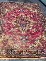 Top-down view of entire rug laid out on pavement showing central medallion and border.