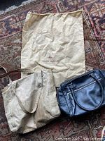 Photo showing two Danier purses and the Louis Vuitton dust bag