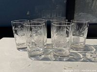 Six clear juice glasses with etched cornflower floral designs displayed in sunlight, showing details of the etching and glass condition.