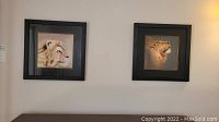 Two framed artworks depicting lions hung side by side on a wall.