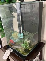 Fish tank front view showing glass panels, colorful faux plants, and black base