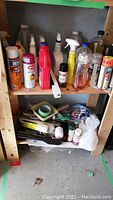 Shelf with various cleaning liquids and spray cans, painting accessories, and miscellaneous items in a plastic container below.