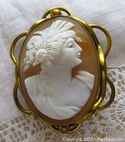 Front view of the cameo brooch showing the carved lady's profile in raised white shell against a brown background, surrounded by gold plated twisted frame.