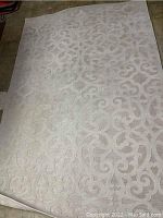 Photo of the light-colored area rug showing the decorative scroll pattern.