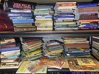 Wide view of two shelves filled with a mixed assortment of books including older children's titles and classics.