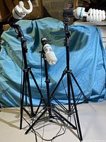 Three adjustable photography lights on tripods with spiral CFL bulbs for lighting. One bulb broken visible from close selfie.