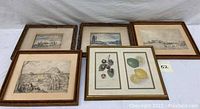 Six framed lithographs laid out, showing varied subjects including botanical fruit prints and landscapes with water and rocky terrain