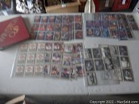 NASCAR trading cards in plastic sleeves including full-color driver photos and some card backs shown