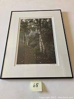 Full view of the framed photograph showing the pathway and wooded scene in Seal Harbor, Maine, with white matting and black frame.