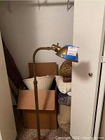 Brass and metal floor lamp with adjustable neck and dome shade shown standing upright against closet wall with pillows and rug behind.