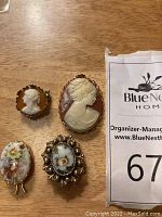 Full set of five jewelry pieces including cameos and enamel barrettes on a wooden surface with lot number tag.