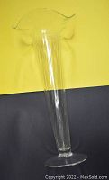 Tall glass vase with a flared and ruffled rim photographed against a yellow and black background.