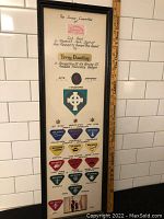 Full view of the framed collection with all badges and star pins arranged vertically, featuring the award inscription at top.