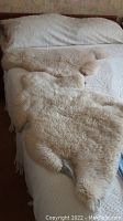 Two sheepskins laid on a bed showing their full wool surface, cream colored wool, irregular shape.