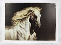 Full view of the signed lithograph showing two white horses against a dark background, printed to edge on acid-free paper, signed and numbered in pencil.