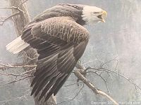 Close-up detail of eagle and tree branch motif