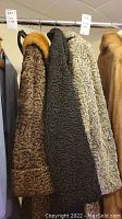 Three fur coats hung on a rack, showing different shades and lengths of curly Persian lamb wool fur.