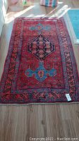 Entire rug laid flat on floor showing overall design and color