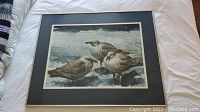Framed watercolor painting of three birds on rocky shore with water background displayed on bed