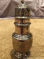 Full view of one silver plate shaker standing upright on carpet, showing perforated cap and pedestal base.