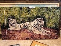 Mounted rug showing two white Siberian tigers lying on brown ground with green bamboo background, with measuring tape to show size.