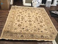 Full view of beige area rug on hardwood floor