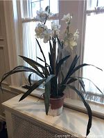Full view of artificial orchid plant showing flowers, leaves and pot placed on white surface by window.