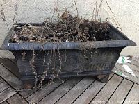 Full view of rectangular cast iron planter with soil and dried plants inside showing overall shape, feet, and embossed sides.