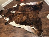 Full view of large cowhide style carpet laid out on wood floor, showing brown and white natural pattern and irregular edges.