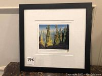 Framed limited edition print with label and number visible on the frame bottom left corner.