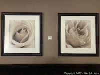 Pair of matching botanical prints framed in black, shown side by side on wall