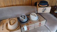 Four hats, three light colored fedoras on boxes and one black fedora with multi-color stripe band on a box, set on a couch and wooden panel background.