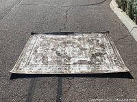 Top view of the new 4x6 area rug laid flat on pavement showing central medallion and vintage distressed pattern.