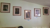 Five framed Maxfield Parrish prints hung on a wall in a row, showing the arrangement and framing style.