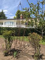 Overall view of three frames installed in garden soil, showing full heights and shapes