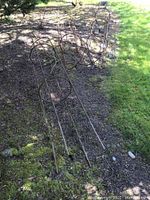 Three rusty wrought iron topiary frames laid on ground, showing general shape and size