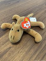 Single Ty Beanie Baby plush dog on wood floor, mint condition with tag attached.