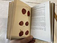 Open page showing berry illustrations of different raspberry varieties with botanical text on opposite page.