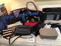 Front view of the 18 assorted purses, handbags, and totes arranged on a couch, showing variety in color, style, and size