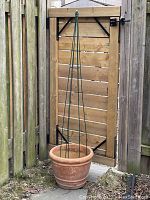 Photo showing the terra cotta pot on the ground outside with the green metal obelisk inserted inside the pot next to a wooden gate.