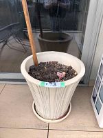 Front view of large ceramic planter pot filled with soil, wooden stick, and small decorative item inside on patio floor.