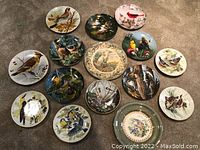Photo of 14 ceramic bird collector plates arranged on carpet, showing various bird artwork on each plate.