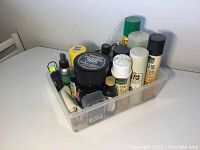 Overall view of the shoe care products in a clear plastic container showing various bottles and products
