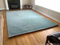 Full view of the light teal blue area carpet placed on hardwood floor in a living room setting.